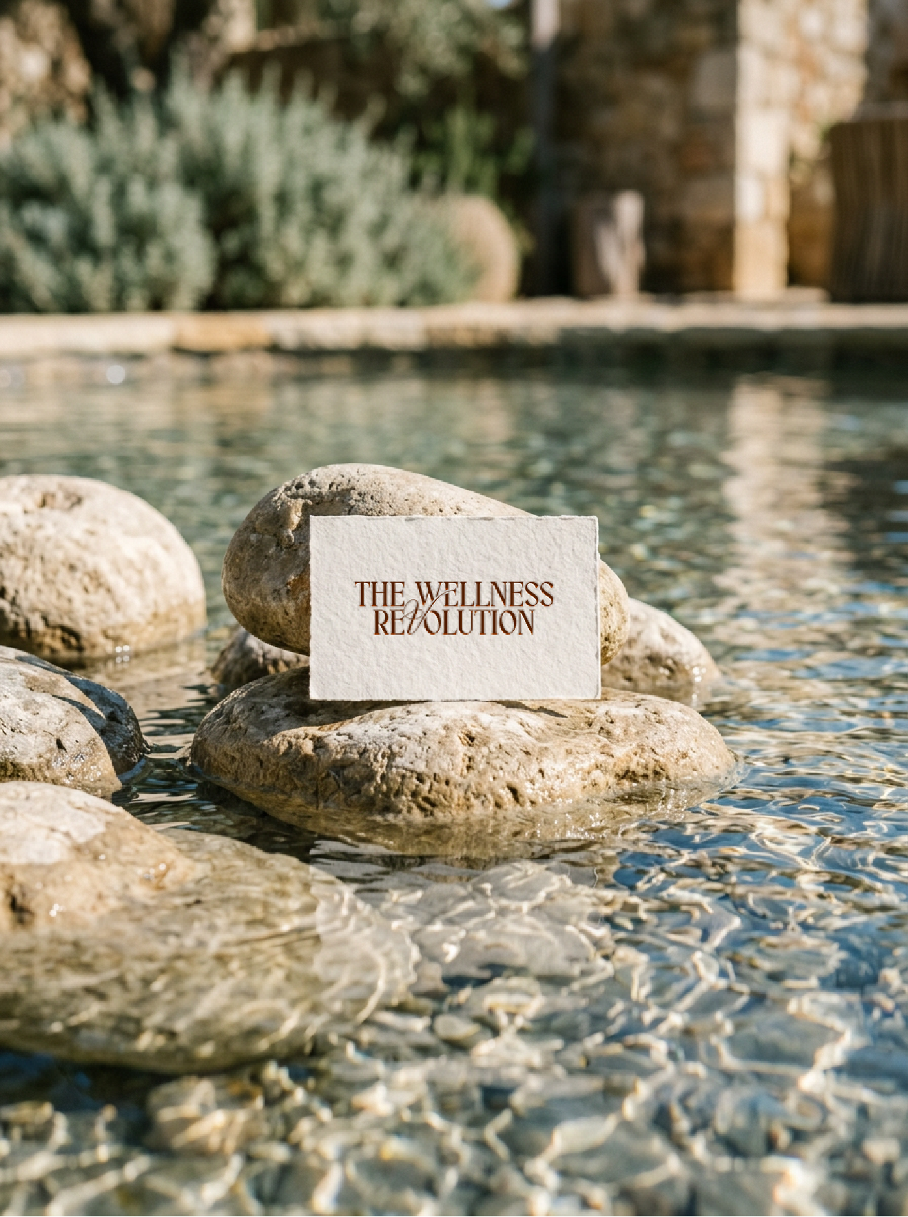 the wellness revolution by gdz_The wellness revolution gdz-03